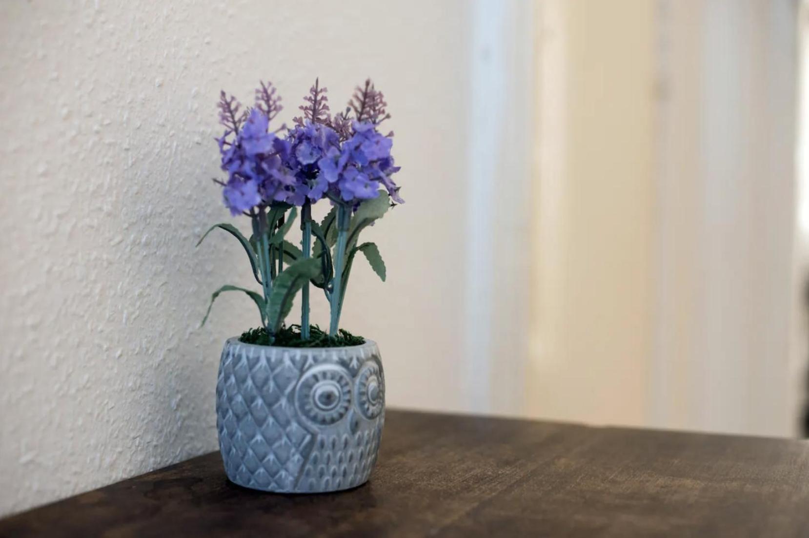 Appartement Standard By Hi5 - Charming Boedapest